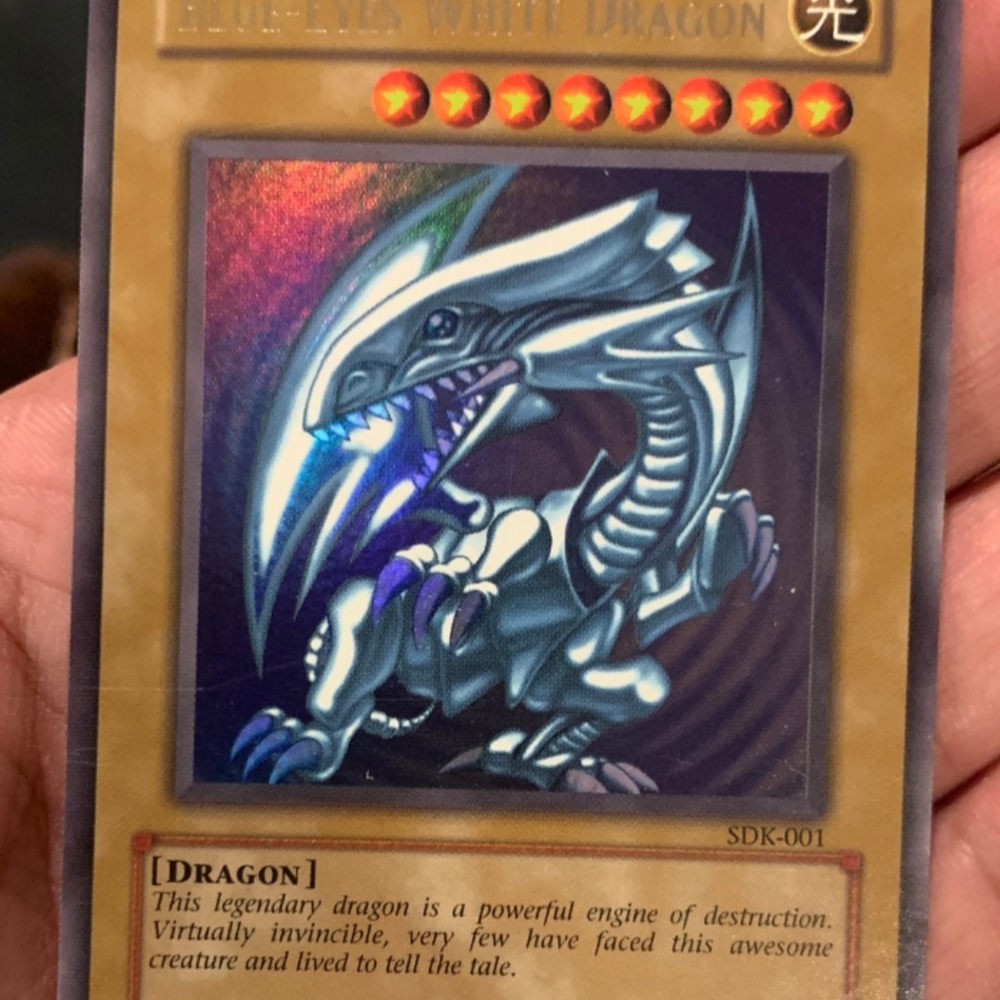Blue and White Art Print of Iconic Dragon